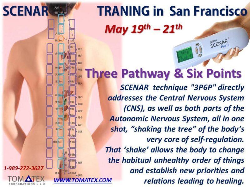 SCENAR training poster for San Francisco workshop May 19-21